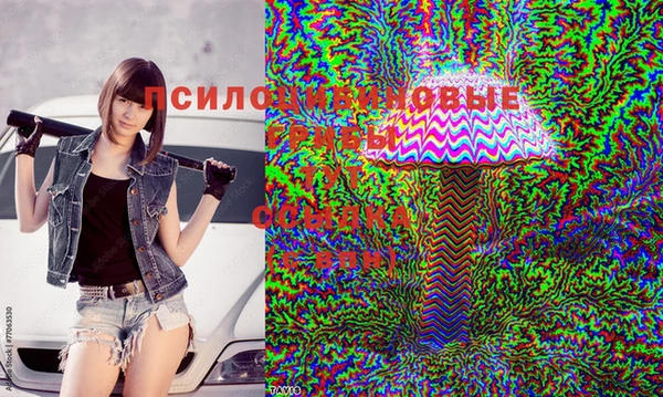 трава Иннополис