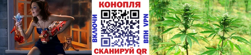 Шишки марихуана план  кракен ссылки  Копейск  где можно купить  